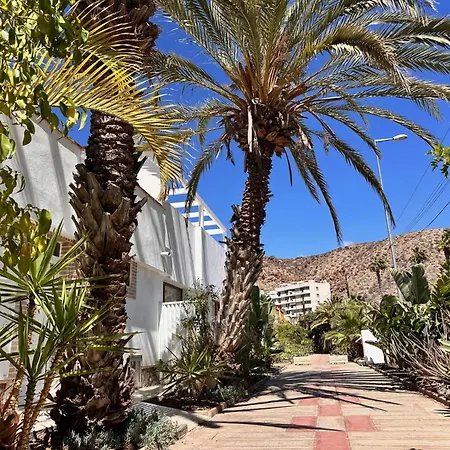 Travelingdays Hibiscus Apartment Palm-mar